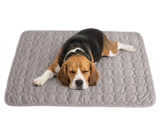Large Dog Crate Bed Dog Crate Pad Washable Dog Bed Mat for Crate Mats for Dog Cage Mat Dog Kennel Pad Dog Kennel Mat Dog Crate Liner Dog Beds for Large Dog,48" X 36"