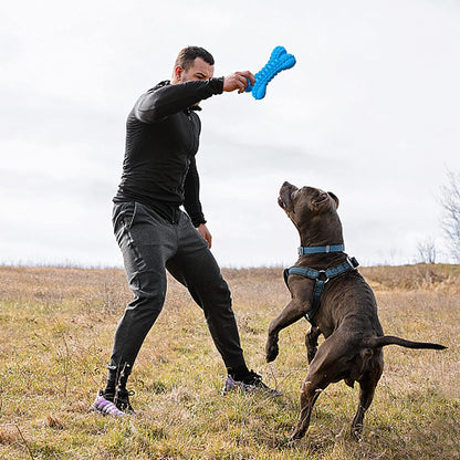 Dog Toys for Aggressive Chewers Large Breed, Durable Dog Chew Toy, Nearly Indestructible Dog Toys for Large Dogs, Tough Natural Rubber Puppy Chew Toys for Medium Dog Teeth Cleaning